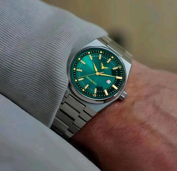 Luxury Stainless Steel Wrist Watch ...